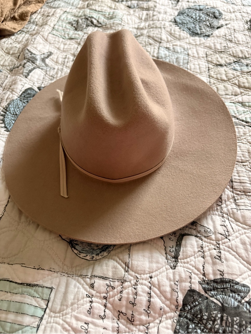 Women's Wide-Brim Felt Fedora Hat in Tan